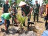 DANREM 045/GAYA BERSAMA KEPALA STAF KEPRESIDENAN RI MENANAM POHON SAGU DI BANGKA