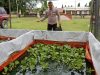 Personil Polsek Muara Kuang Lakukan Pengecekan Perkembangan Ikan di Kolam Ketahanan Pangan